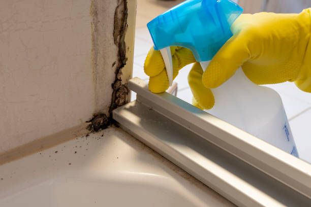 Best Mold Prevention Services  in Baldwinsville, NY