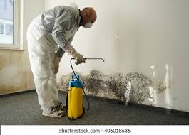 Trusted Baldwinsville, NY Mold Remediation Experts